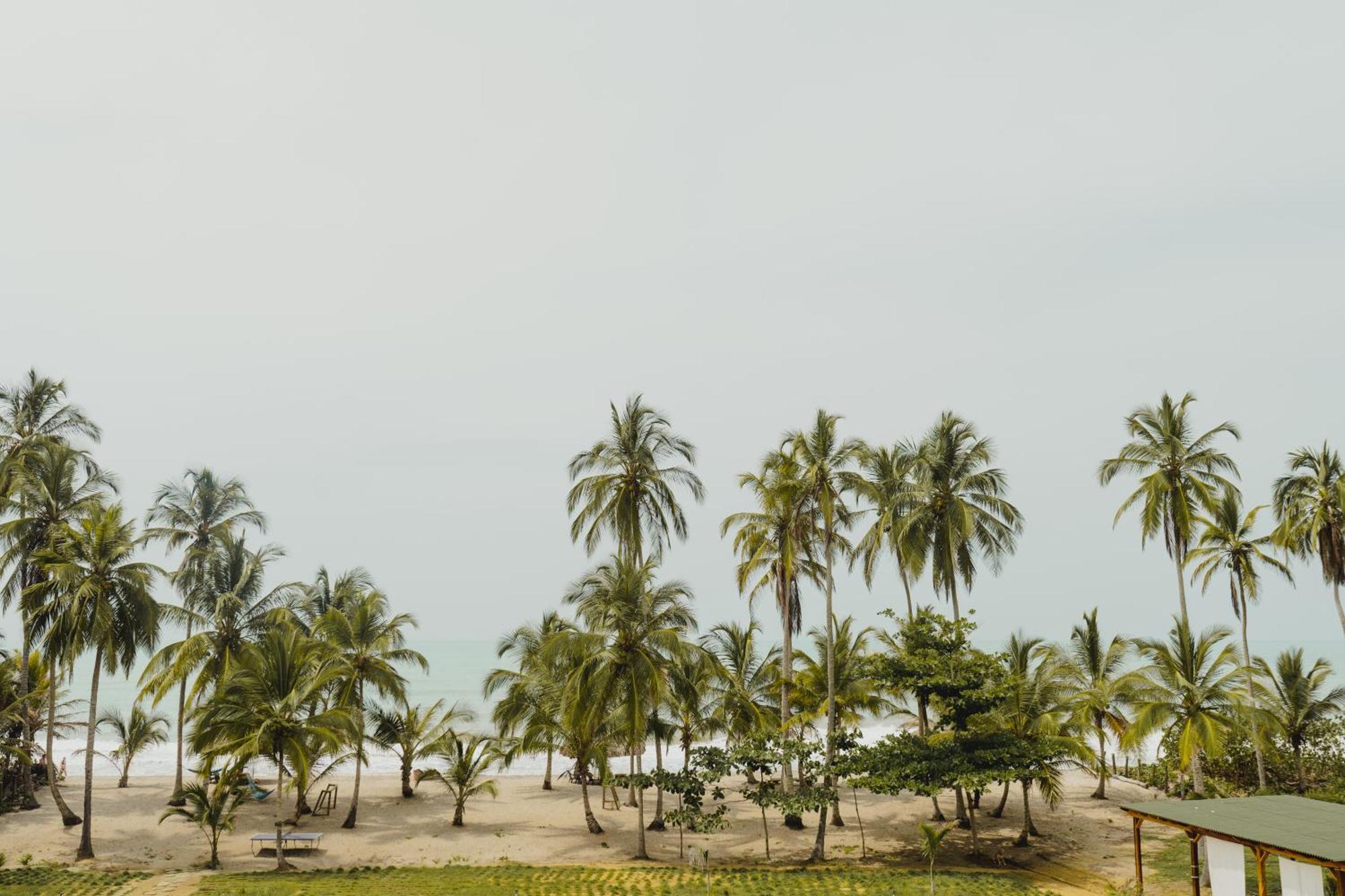 Uuttaaka Eco-hotel Hotel