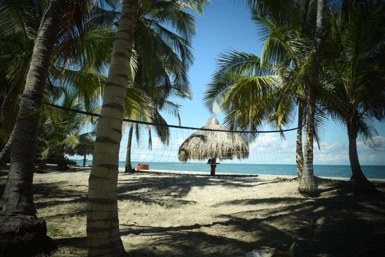 Uuttaaka Eco-hotel Hotel Palomino